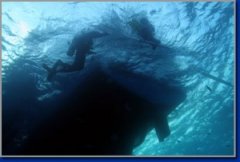 �����Ľ�ѵ��ײͷ