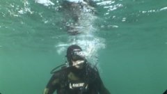 �����Ľ�ѵ���Կ��Ľ���