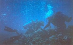 �����Ľ�ѵ��������