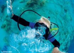 �����Ľ�ѵ���³�