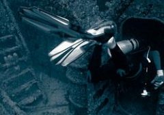 �����Ľ�ѵ��ʧ�ܵļƻ�