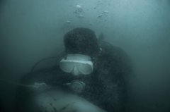 ����կ��ˮ�³���ǱˮԱ