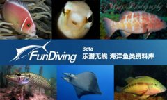 <b>�й�ǱˮԱ�Ŀڴ�ͼ��ݡ������ĺ��������</b>