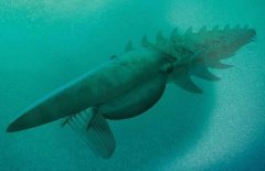 ��ѧ�ҷ��֡��󺣹֡�����������