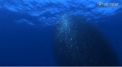 ����Ƶ | ĩ·ɳ��