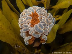 ˮ����Ӱ΢������57��