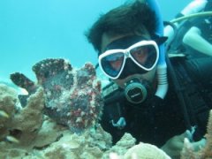 Ǳˮ����ר�� – Ǳˮ�ϱ� ICE