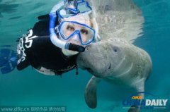 ����ɫ����ţ��׷��Ů �û�͵�׺õ���