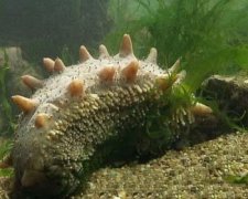 �й���������̼�ȫ���� ���������