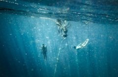 <b>Ǳˮ����Ī���˵�Ư������</b>