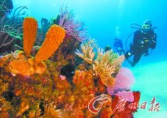 �ó��� �����ǿ���Ǳˮ��(��ͼ)