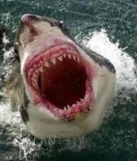 �����������£���Ϊ����֪���й�����20����֪ʶ