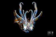 ˮ����Ӱ΢������70��